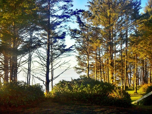 C360_2012-01-11_16-22-21