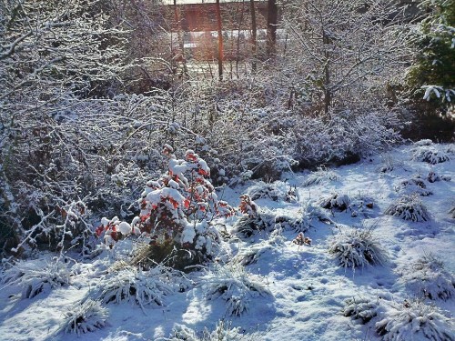 C360_2012-01-16_11-06-34