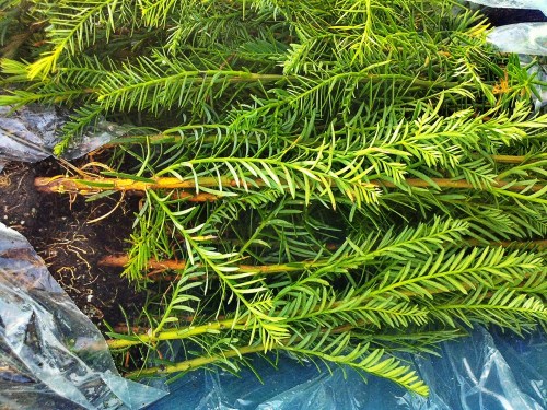 C360_2012-02-01_10-52-52