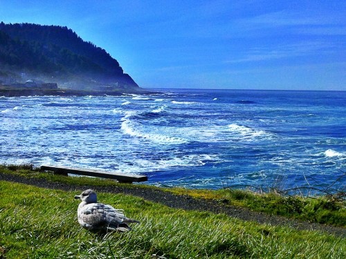 C360_2012-03-08_10-08-56