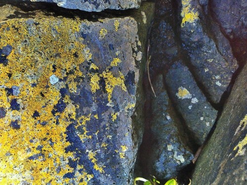 C360_2012-04-05_16-18-50