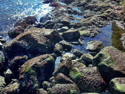 C360_2012-04-05_16-22-12