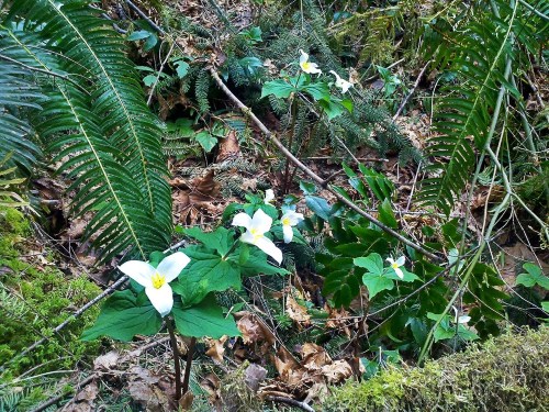 C360_2012-04-10_14-28-29