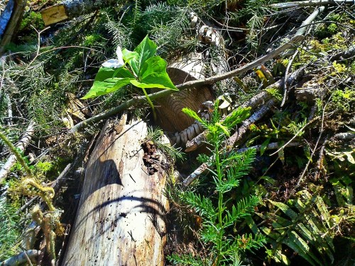 C360_2012-04-22_11-59-53