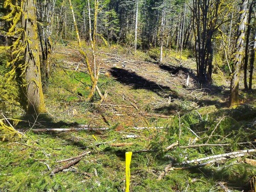 C360_2012-04-22_12-03-57