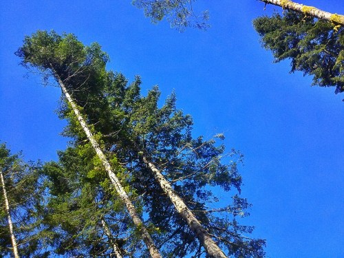 C360_2012-04-22_12-05-25