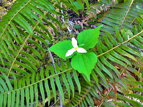 C360_2012-04-22_13-15-14