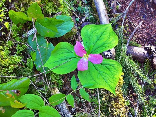 C360_2012-04-22_13-40-16