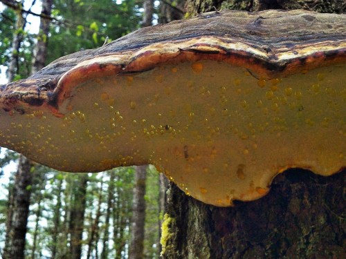 C360_2012-04-25_13-37-18