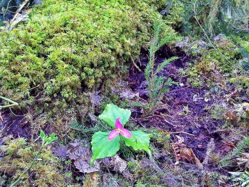 C360_2012-04-25_14-45-10