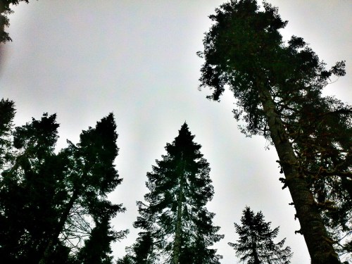 C360_2012-04-25_16-06-32