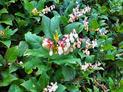 C360_2012-05-03_13-33-36