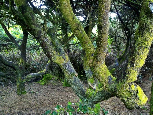 C360_2012-05-03_13-37-50