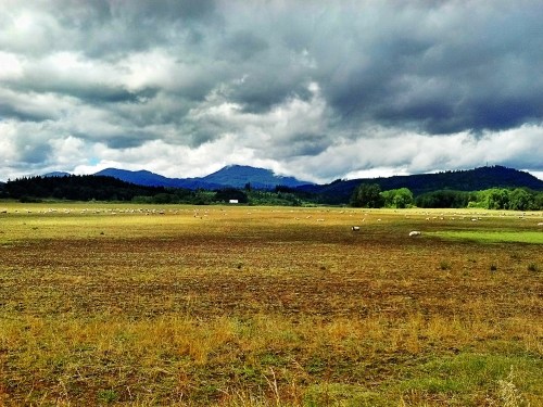 C360_2012-06-26-12-49-25