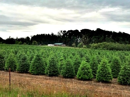 C360_2012-06-30-09-51-43