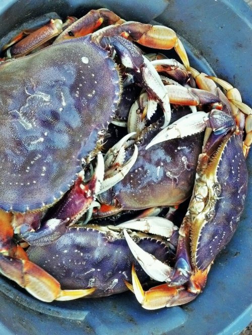 C360_2012-07-04-15-23-25