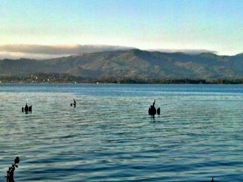 C360_2012-07-12-20-17-50