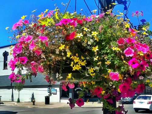 C360_2012-08-01-14-08-37