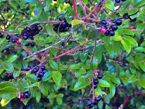 C360_2012-08-30-17-17-38