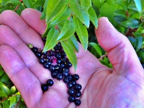 C360_2012-08-30-17-18-40