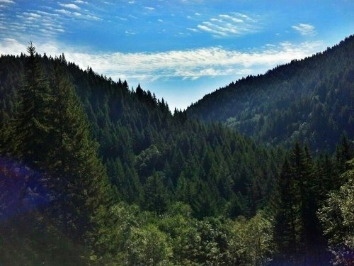 C360_2012-09-15-11-31-20