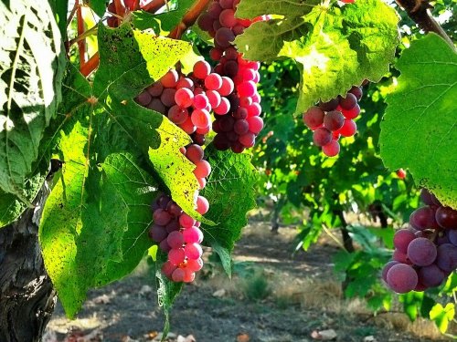 C360_2012-09-27-09-24-13