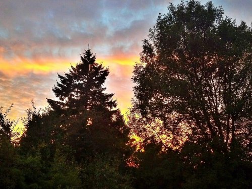 C360_2012-09-27-19-03-34