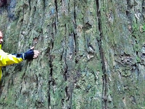 C360_2012-10-12-08-57-41