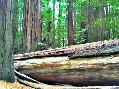 C360_2012-10-12-09-59-42