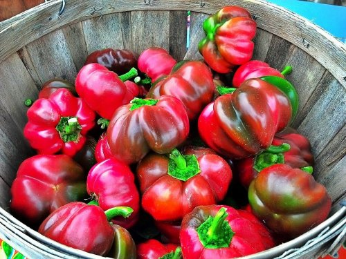 C360_2012-10-12-12-17-10