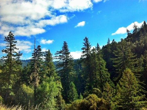 C360_2012-10-12-15-03-34