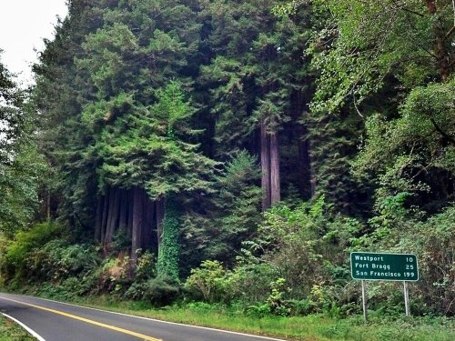 C360_2012-10-13-11-49-33