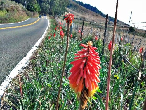 C360_2012-10-13-13-54-49