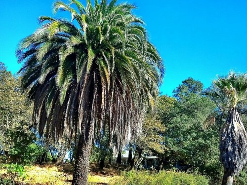 C360_2012-10-16-15-31-42