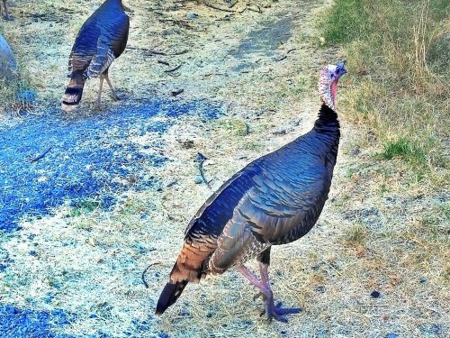 C360_2012-10-18-10-40-43