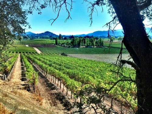 C360_2012-10-19-13-24-12