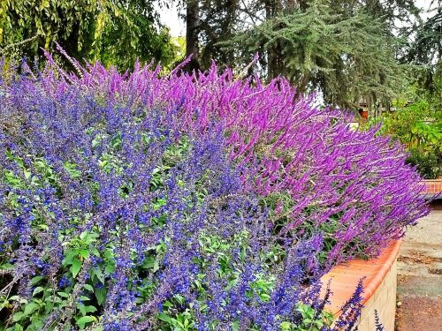 C360_2012-10-21-10-38-32