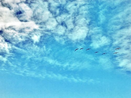 C360_2012-10-21-15-29-42