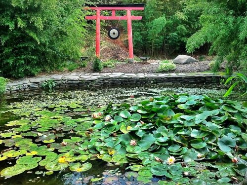 C360_2012-10-24-12-08-41