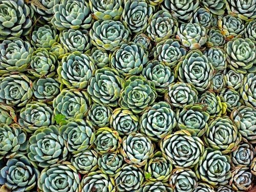 C360_2012-10-28-07-38-47