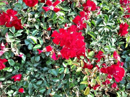 C360_2012-10-31-14-44-05