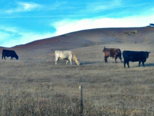 C360_2012-11-02-17-10-48