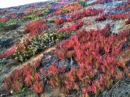 C360_2012-11-02-18-11-05