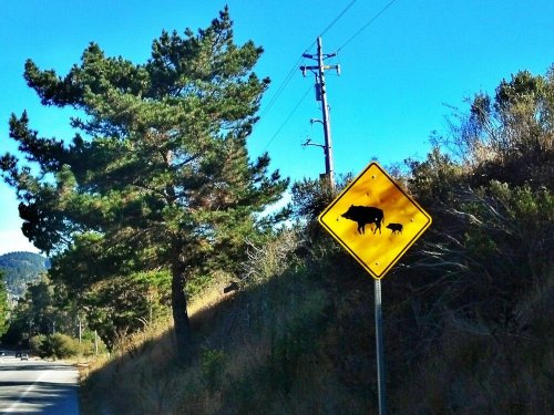 C360_2012-11-04-09-43-40