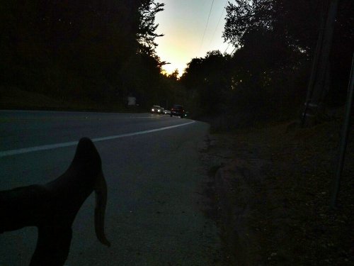 C360_2012-11-04-16-56-38