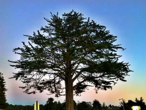 C360_2012-11-04-17-17-14