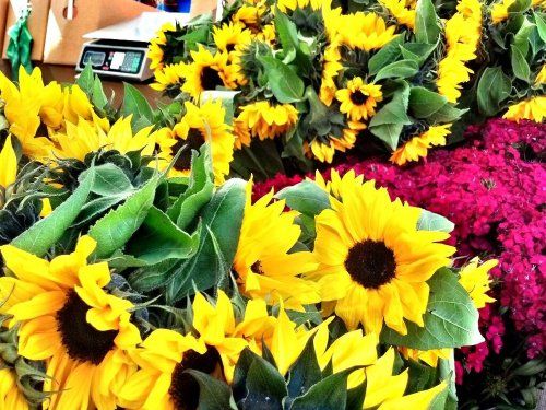 C360_2012-11-06-11-09-58