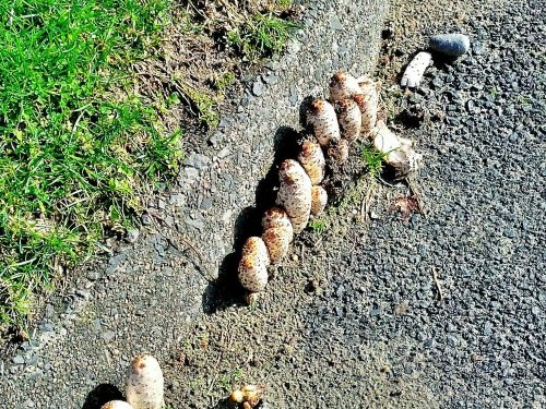 C360_2012-11-09-11-45-27