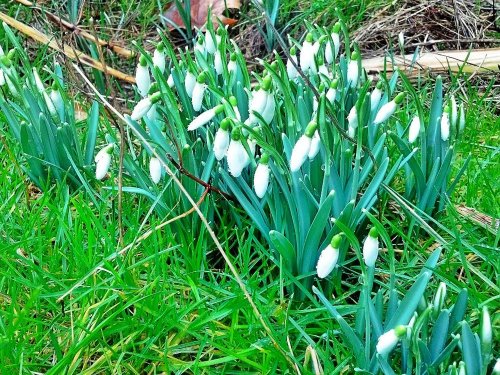 C360_2013-02-09-12-46-17