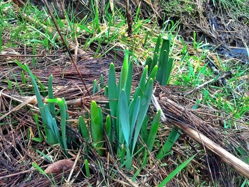 C360_2013-02-09-12-48-06